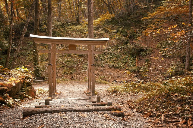 電競術語：<br>點樣融入你我嘅生活？